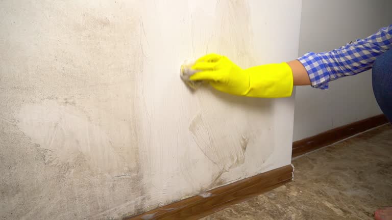 Best Mold Remediation for Healthcare Facilities  in San Diego, CA
